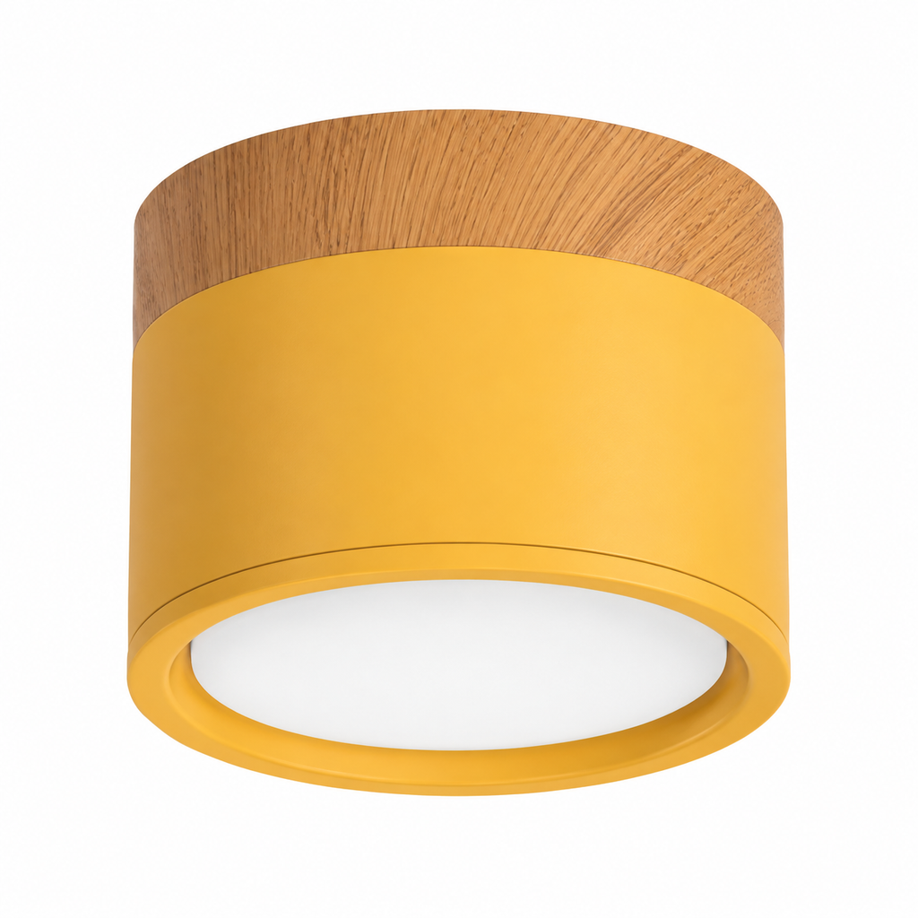 Kompakt LED Loftlampe | Loftbelysning i Metal og Glas | Indendørs Loftarmatur | Vanero