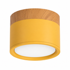 Kompakt LED Loftlampe | Loftbelysning i Metal og Glas | Indendørs Loftarmatur | Vanero