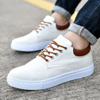 Herre Canvas Sneakers Lav Profil Design | Snørelukket Fritidsfodtøj | Gummisål Til Hverdag & Fritidsbrug | Vanero