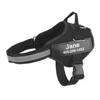 Hundesele Nylon & Mesh med Polstret Brystpanel | Justerbar Sele med D-Ringe & Quick-Release Spænder | Gåture, Træning & Daglig Brug | Vanero
