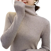 Kaki