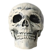 Halloween Skeletdekoration | Kranie & Knogledesign i Plast | Let Hængende Ornament Til Fester & Sæsonudstillinger | Vanero